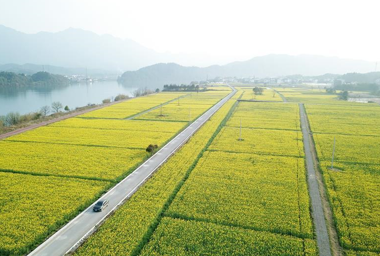 哲理名言 卡尔 波普尔 知乎