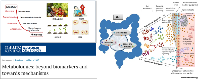 起底最难组学—代谢组学 - 知乎