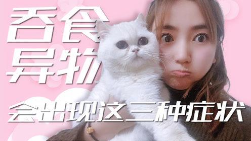 猫咪健康管理 先学会猫咪呕吐分类 知乎