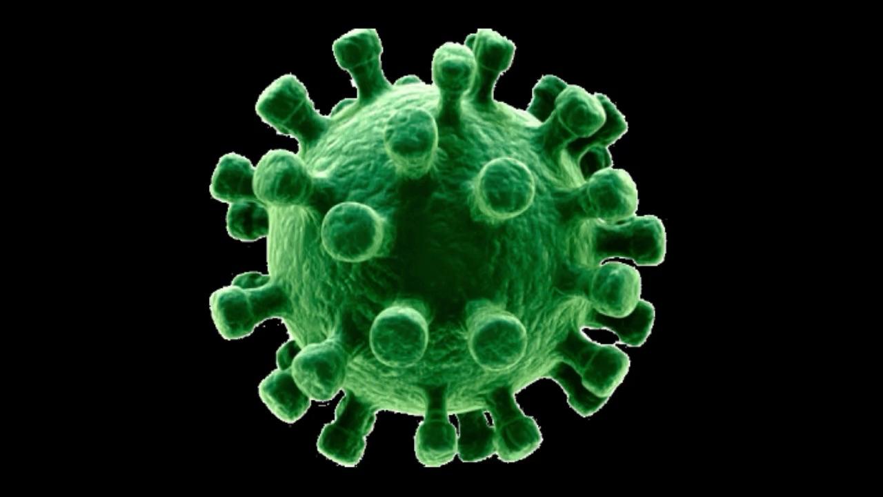 痞老板的老婆中病毒了 - 知乎