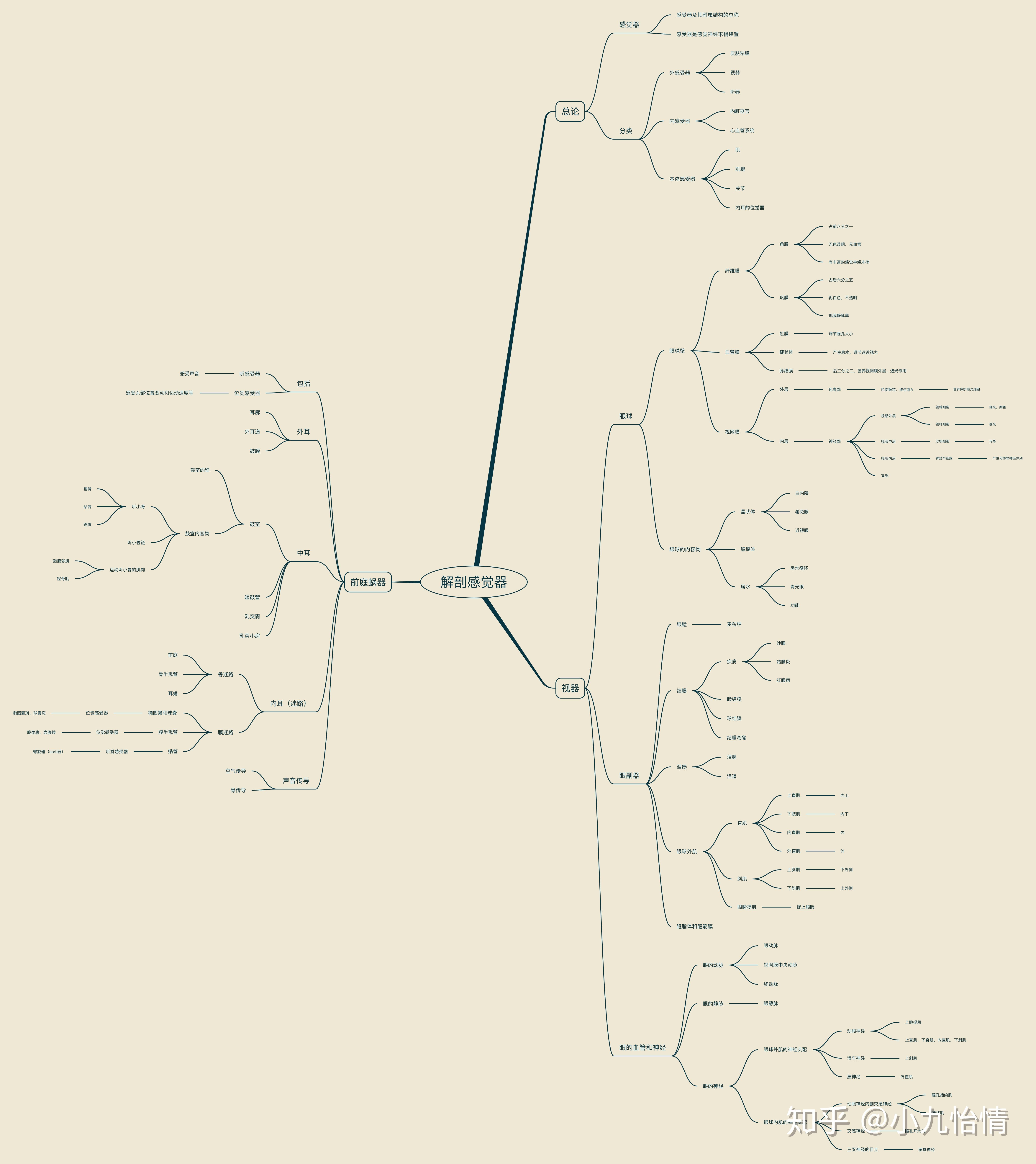 系统解剖学思维导图12感觉器
