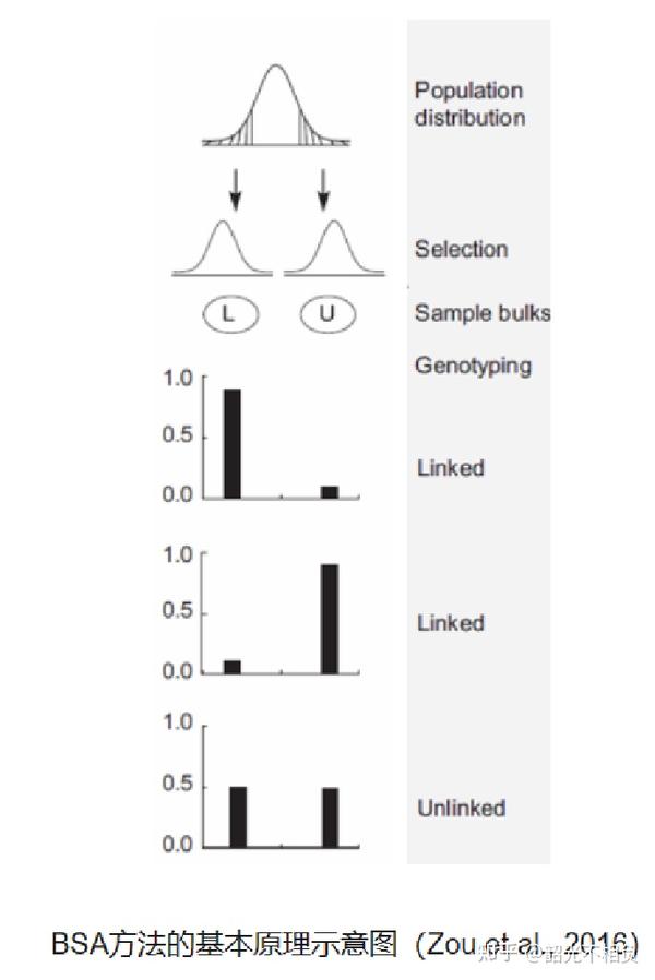 BSA分析(一)——原理及发展史 - 知乎