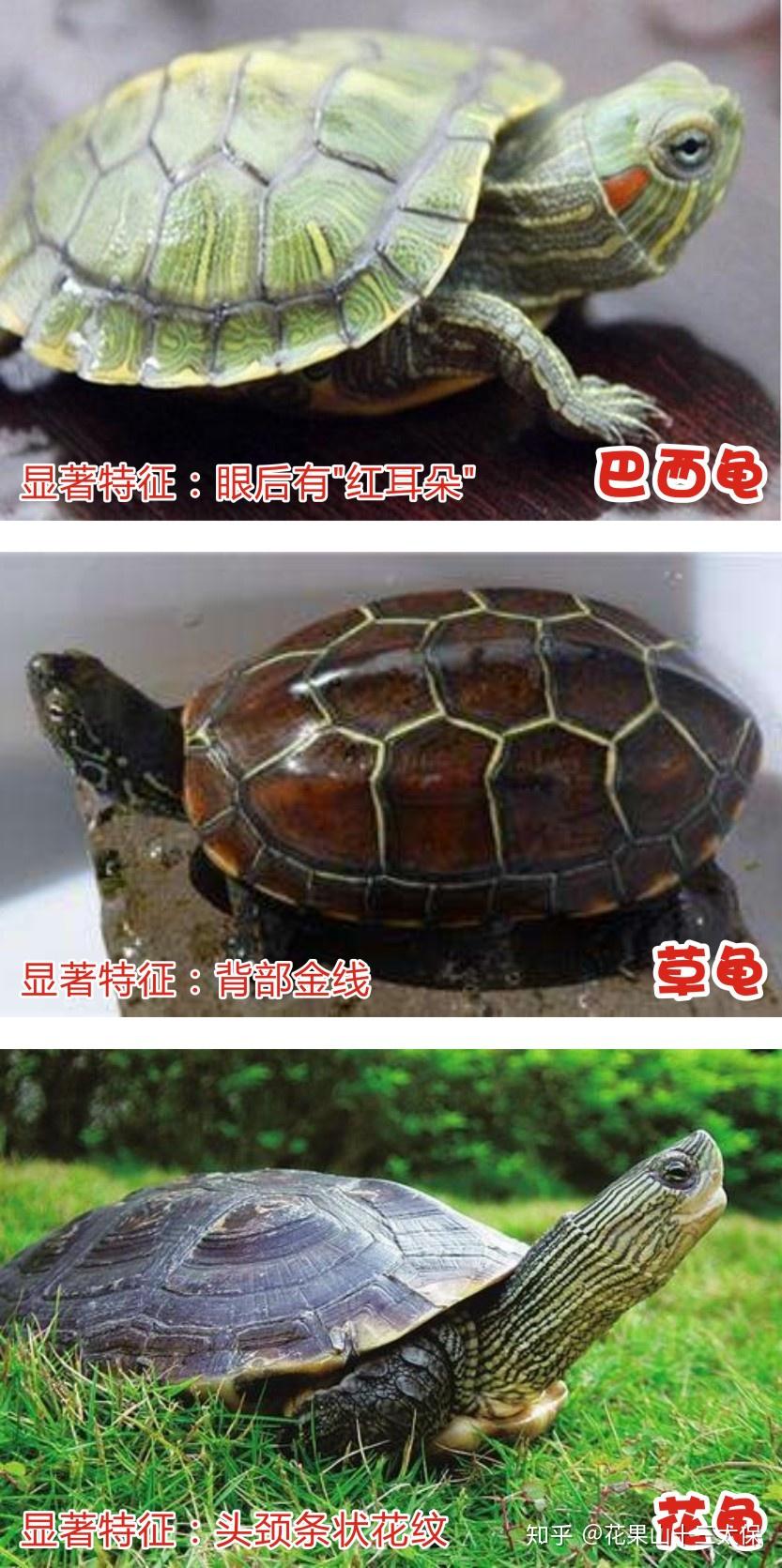 v2-2021e9d5d457be10b270ff8dd5c3bd19_r.jpg