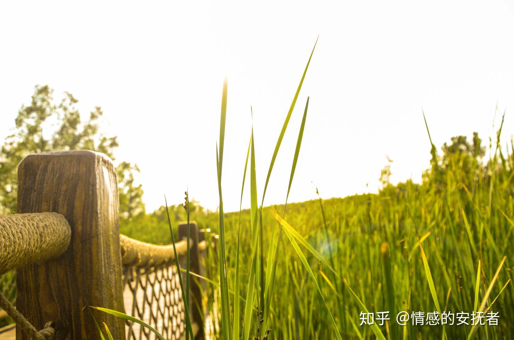 還是先想著如何使自己變得更優秀吧,別整天奢望會遇見什麼對的人,你還