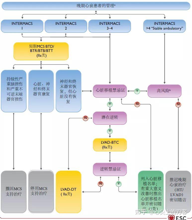心脏移植那些事儿