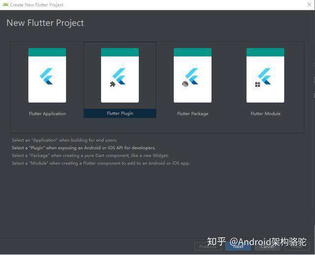  flutter c 