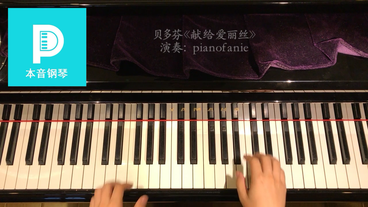致爱丽丝在钢琴曲中处于什么水平?