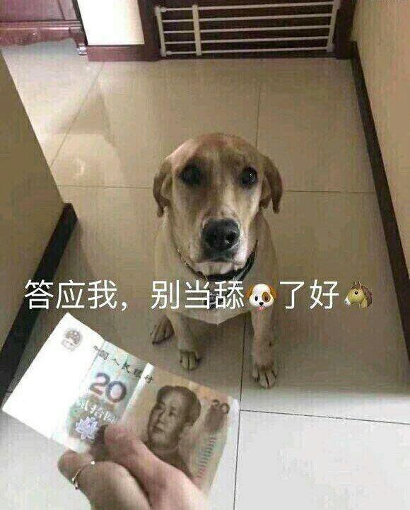 舔狗是没有好下场的