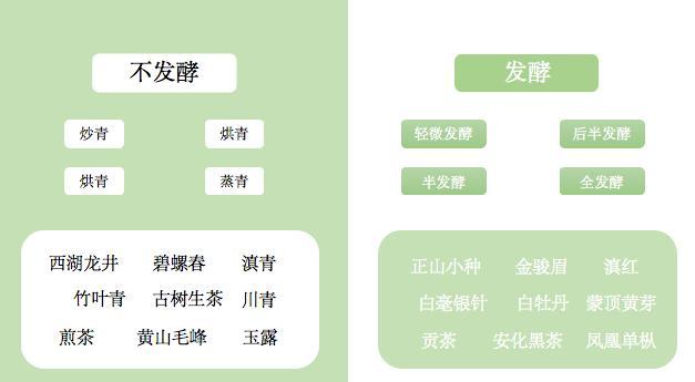 瞭解中國茶的分類知識其實也沒那麼難