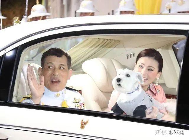 泰国被废贵妃回宫后泰王最美前妻也要回来和王后宫斗又升级