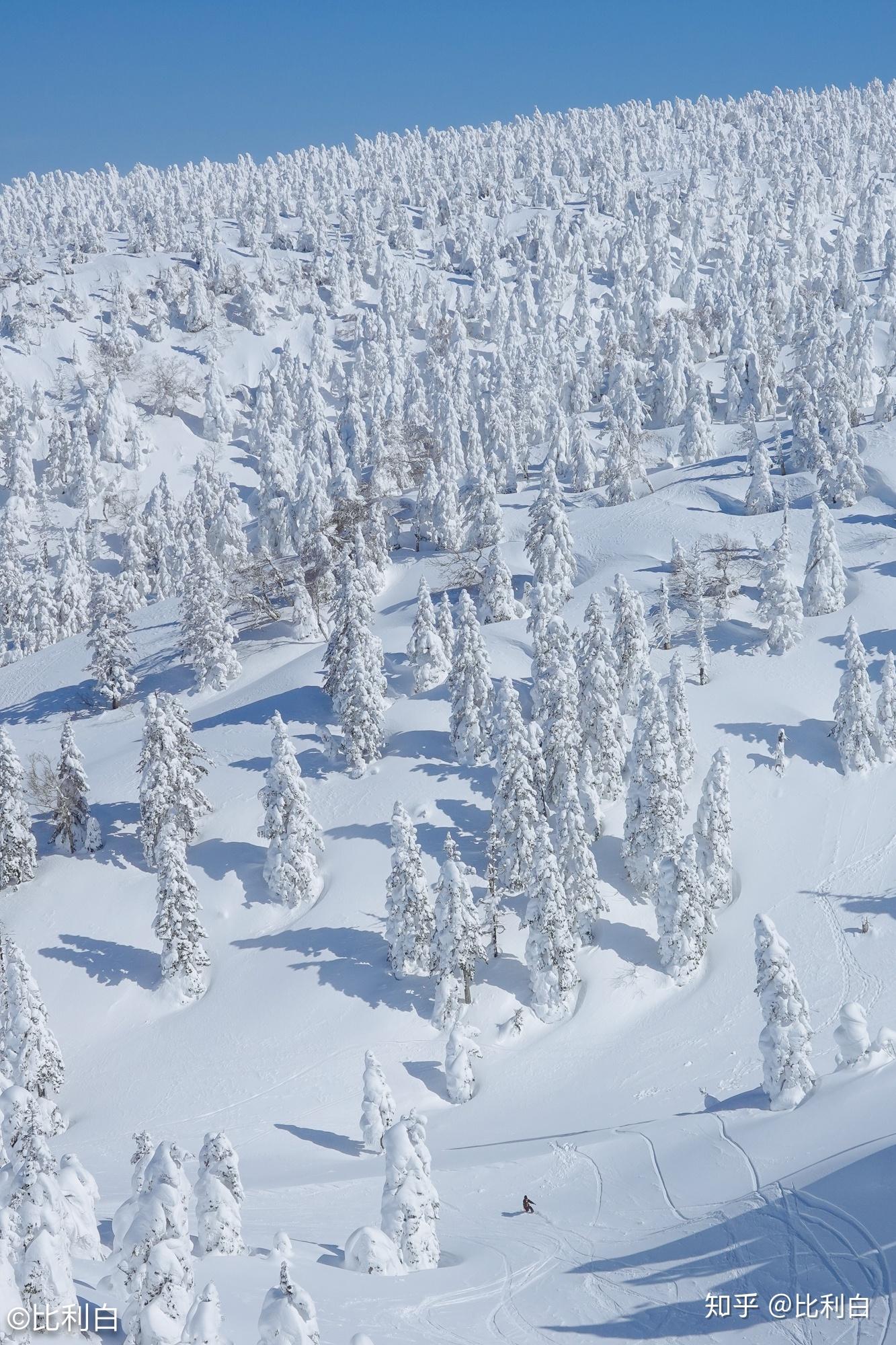 sport的帮助下,我们在夏油高原和八甲田山做了一次野雪训练营