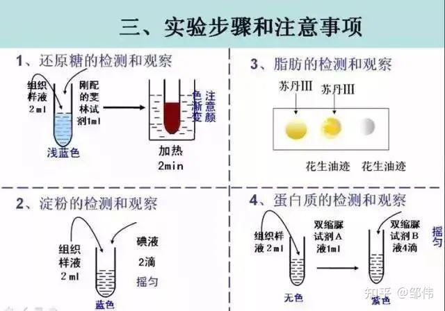 高考生物16大实验原理解析，高考必备 - 知乎
