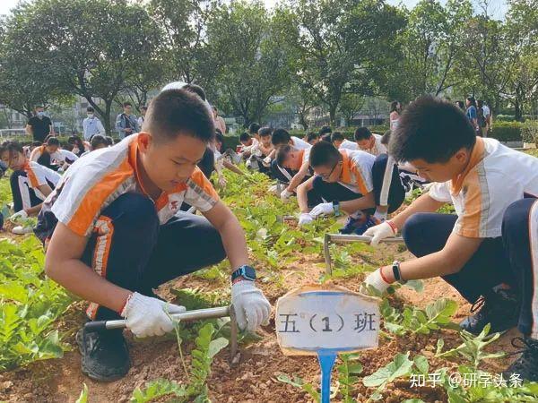 教育研究室主任姚轶洁从两个方面建议学校发挥和提高劳动课程领导力