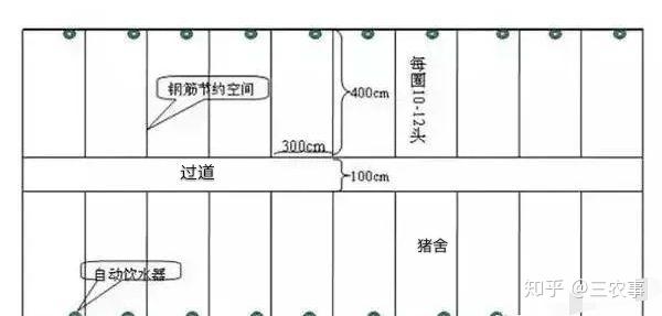 三農技術講臺農村小型養豬場設計最低成本簡易豬欄豬舍建造圖