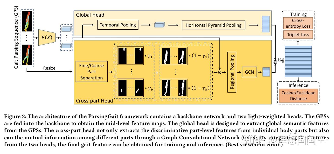 Parsing is All You Need for Accurate Gait Recognition in the Wild 论文笔记 - 知乎
