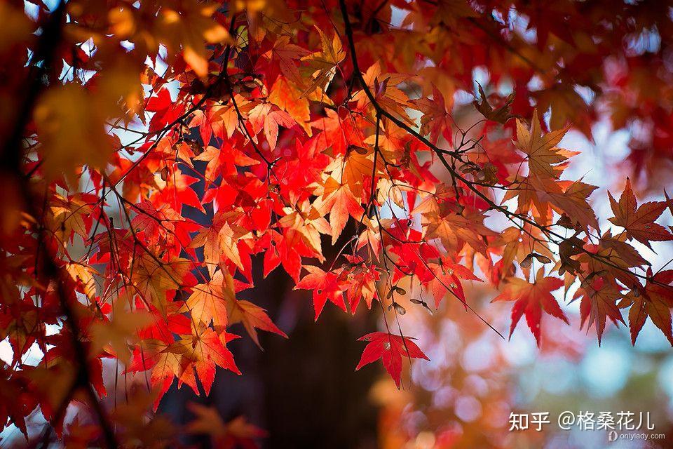 怎样具备强大的气场?