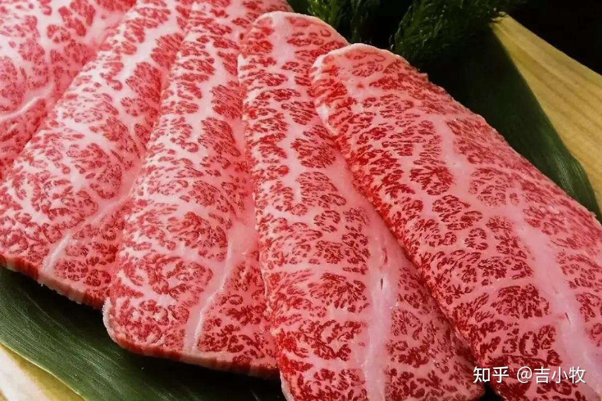 和牛为什么那么贵 知乎