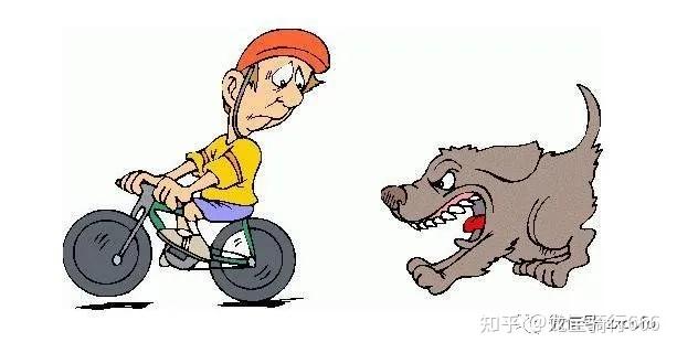 骑车被狗追该怎么办