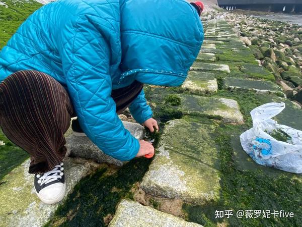 青岛落潮时间表 今明天 年青岛落潮时间表 青岛涨潮退潮时间表