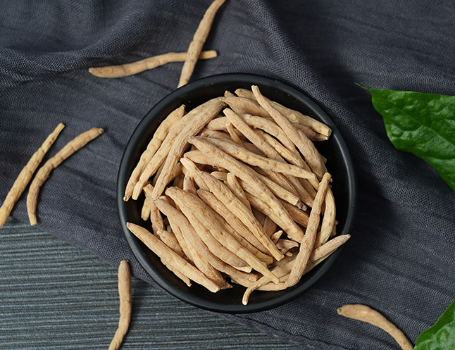 三参有幸带参中药知多少