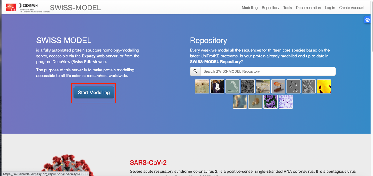 3.swiss-model软件的使用