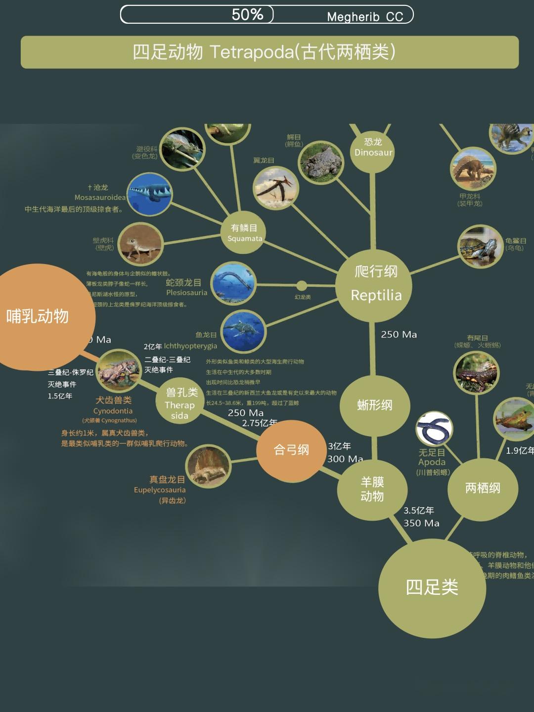 一图看懂生物进化与分类 - 知乎