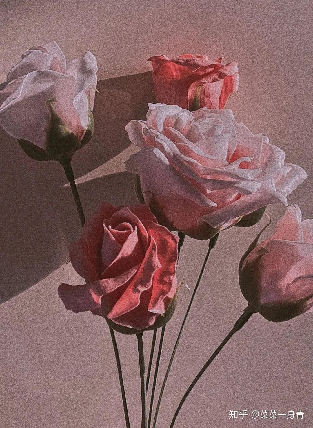 小众中性香水特别是最后一款世人永远刻薄但玫瑰永远是玫瑰