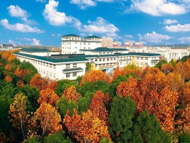 各位朋友们,你说在"学院"级本科高校和专科高校中,有没有不愿意升级