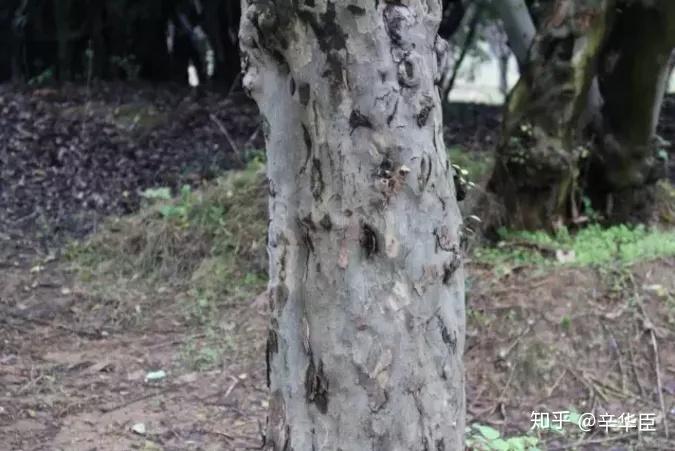 一起来谈