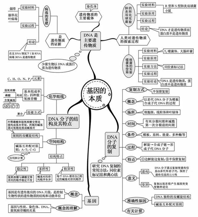 v2-2149b41283f2afde35c7030e35c3b33c_r.jpg