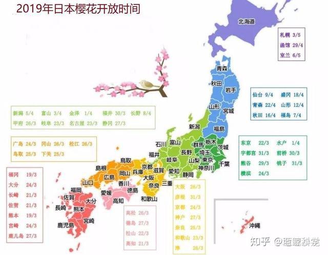 樱花到底源自中国还是日本