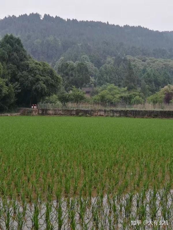 传统风水学中各种砂的吉凶解释(仅供参考) - 知乎