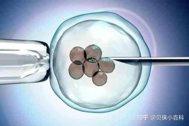 第三代试管双胞胎的风险有哪些？你知道吗？ - 知乎