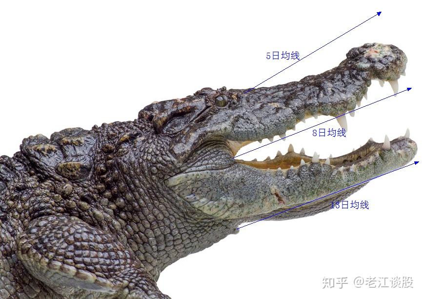 鳄鱼嘴波段战法