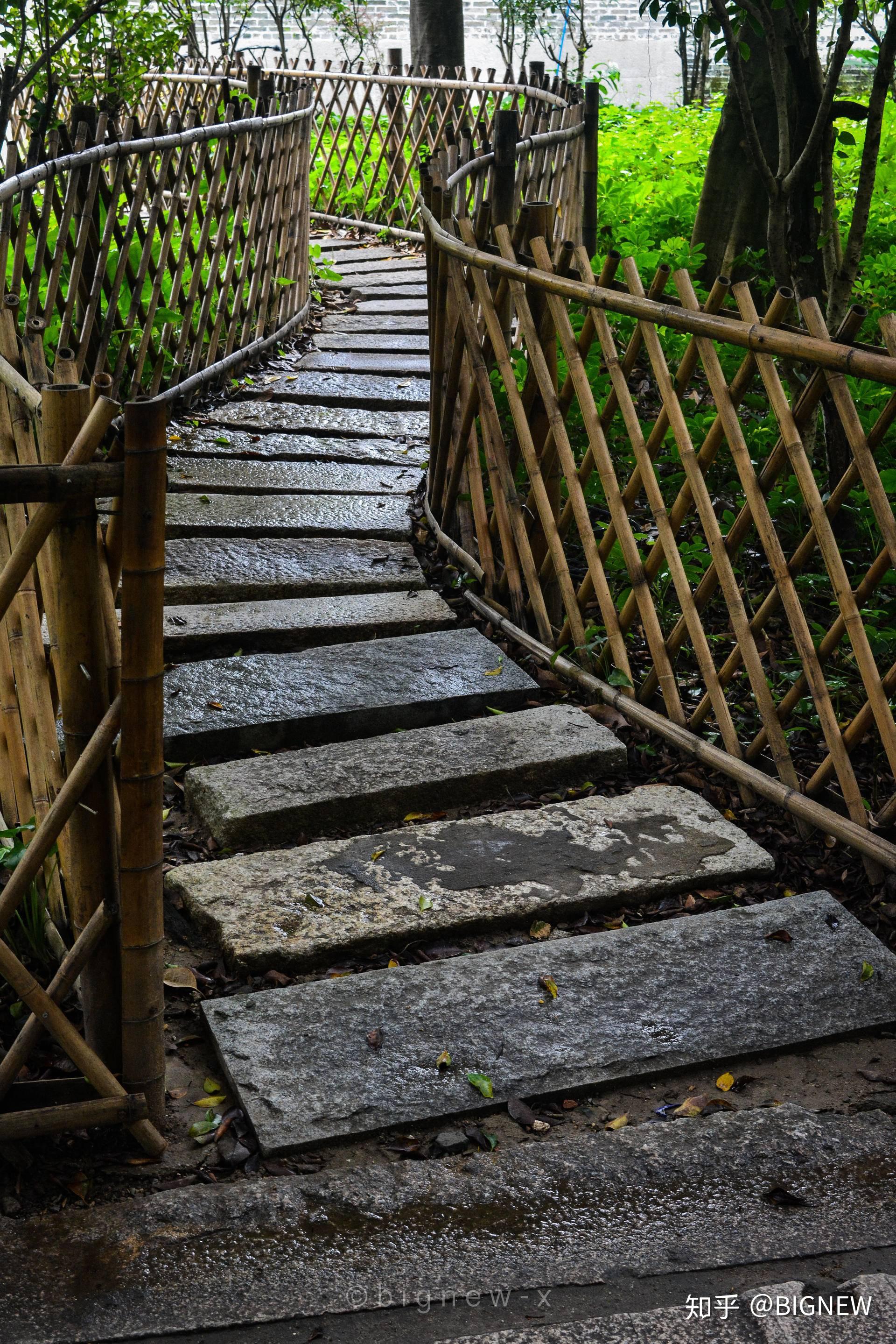 有关小洲村石板路