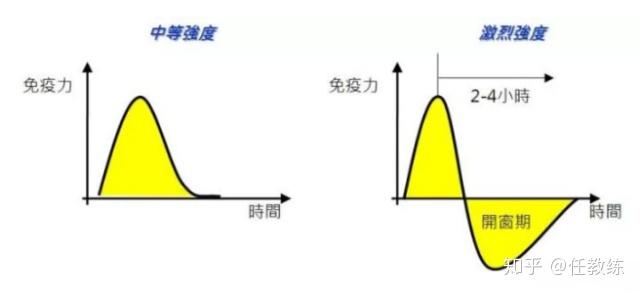 体育锻炼与增强免疫力的关系解答,建议收藏!! - 知乎