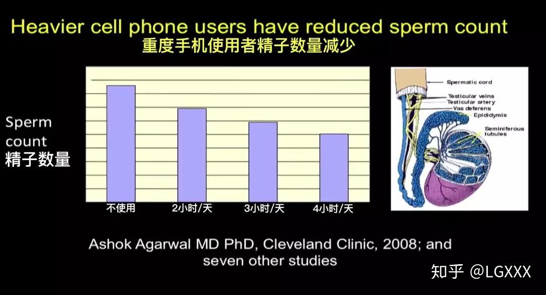 手机辐射的潜在危害到底谁在造谣
