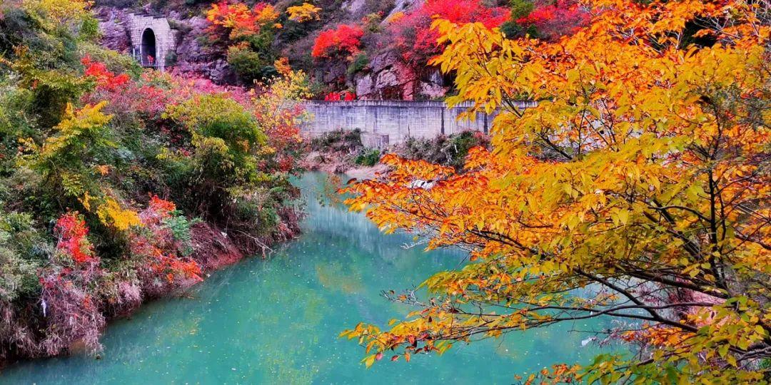 凤县上榜康养旅游百强县入围名单