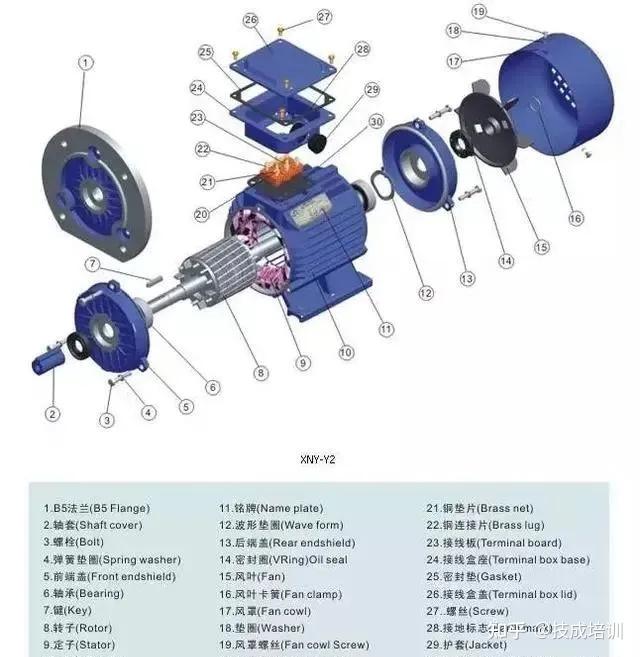  異步電機(jī)電樞是轉(zhuǎn)子還是定子_異步電機(jī)的定子和轉(zhuǎn)子