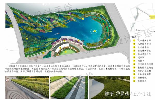 跟案例学设计1——生态驳岸设计 - 知乎