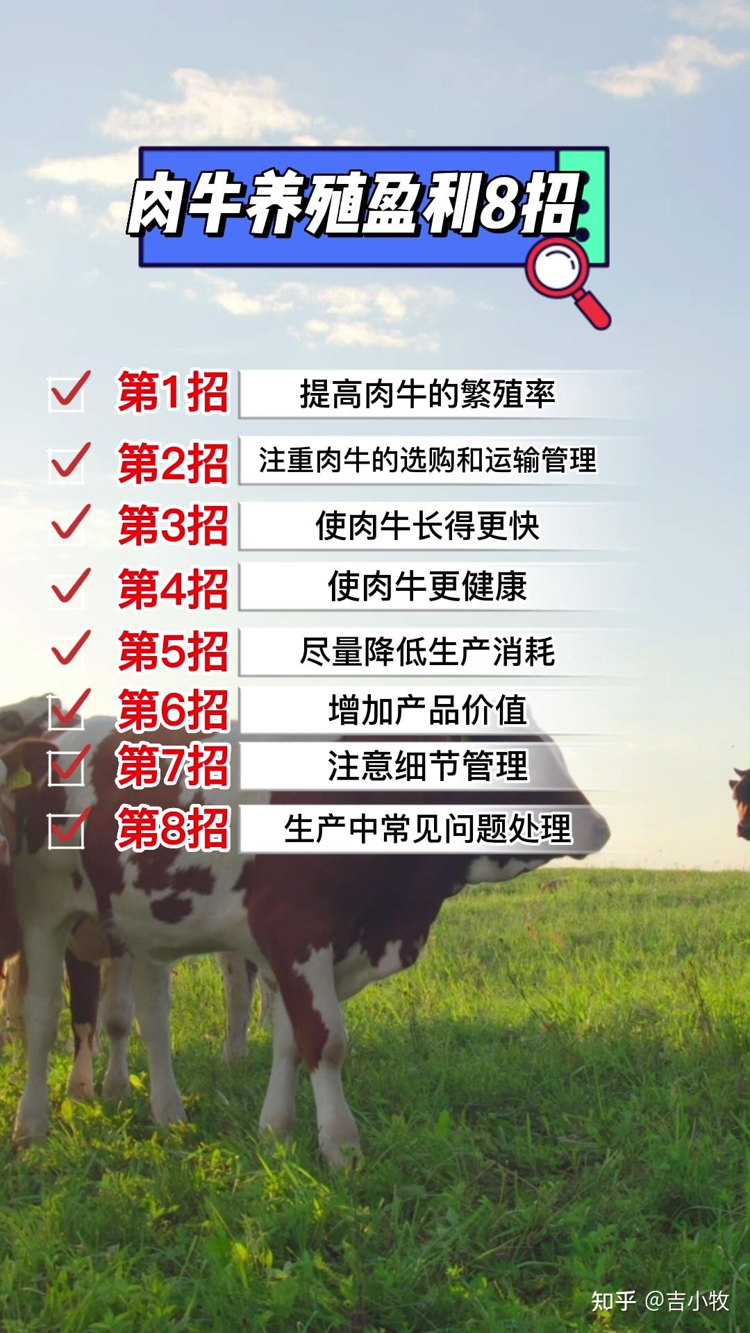 肉牛养殖盈利八招 练好“内功”是关键 - 知乎