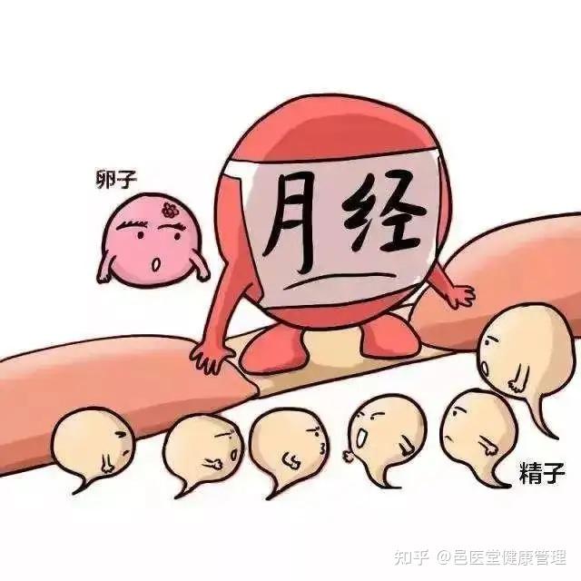 女性绝经的“最佳年龄”公布:不是45或55岁,这个年龄,或许更好! - 知乎