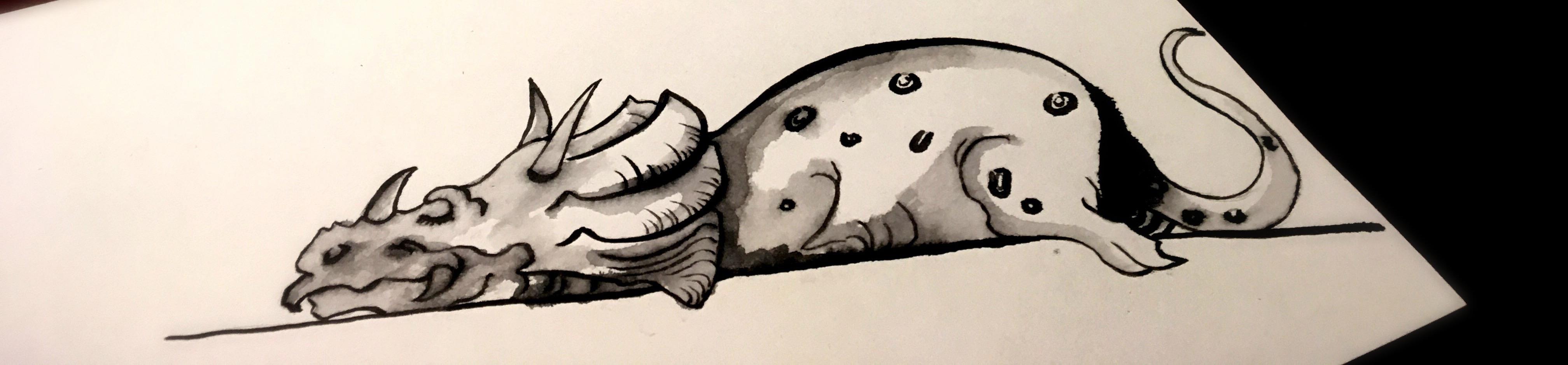 ed-瞌睡龙 - 知乎