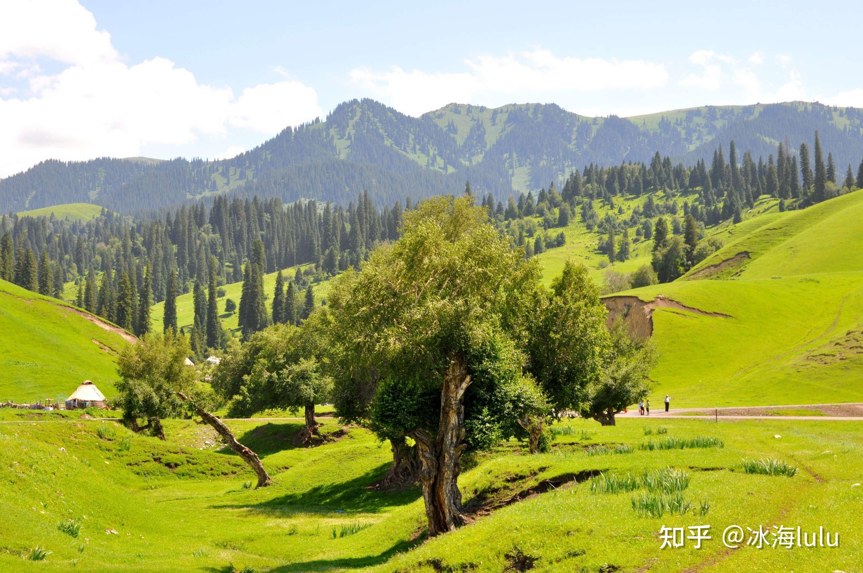 瑞士山地齐名的那拉提草原
