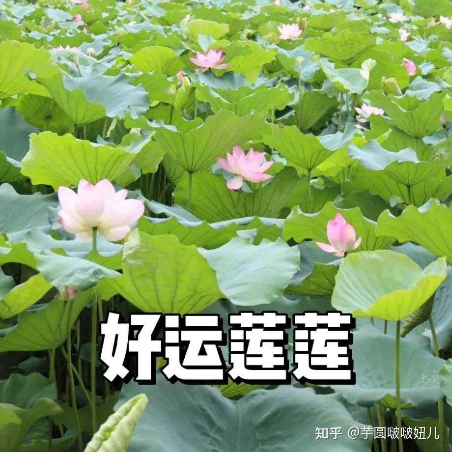 整形隆鼻钱要花多久_隆鼻整形要多少钱_整形隆鼻钱要多少