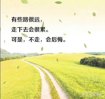 写在最后:当你彷徨,迷茫,不知所措时,不必慌张,不断积累知识,沉淀自己