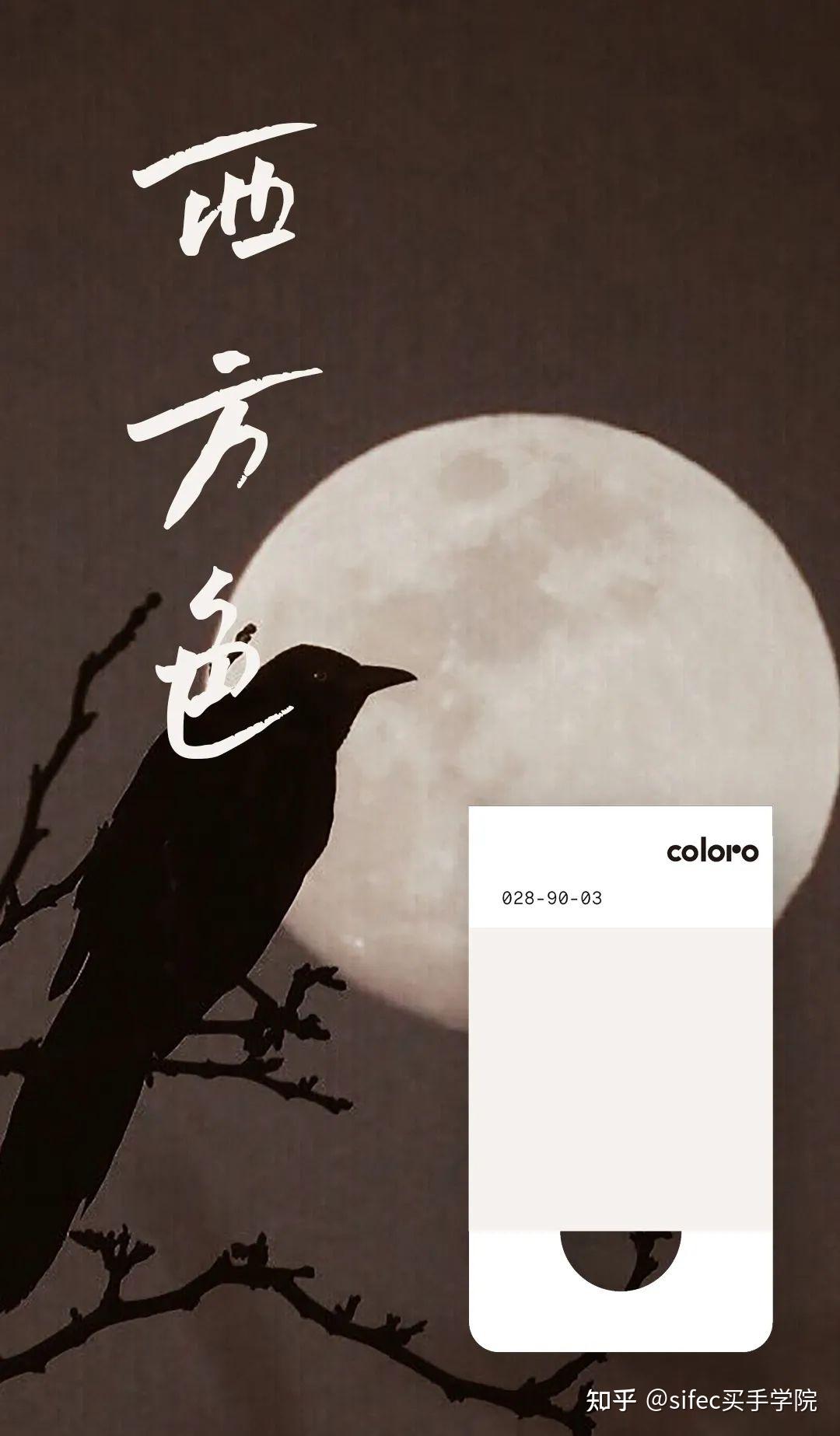 什么是五色教育活动