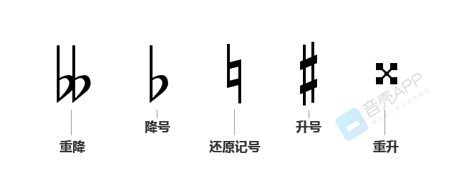 从0到1-乐理基础知识-音阶和变音记号 - 知乎