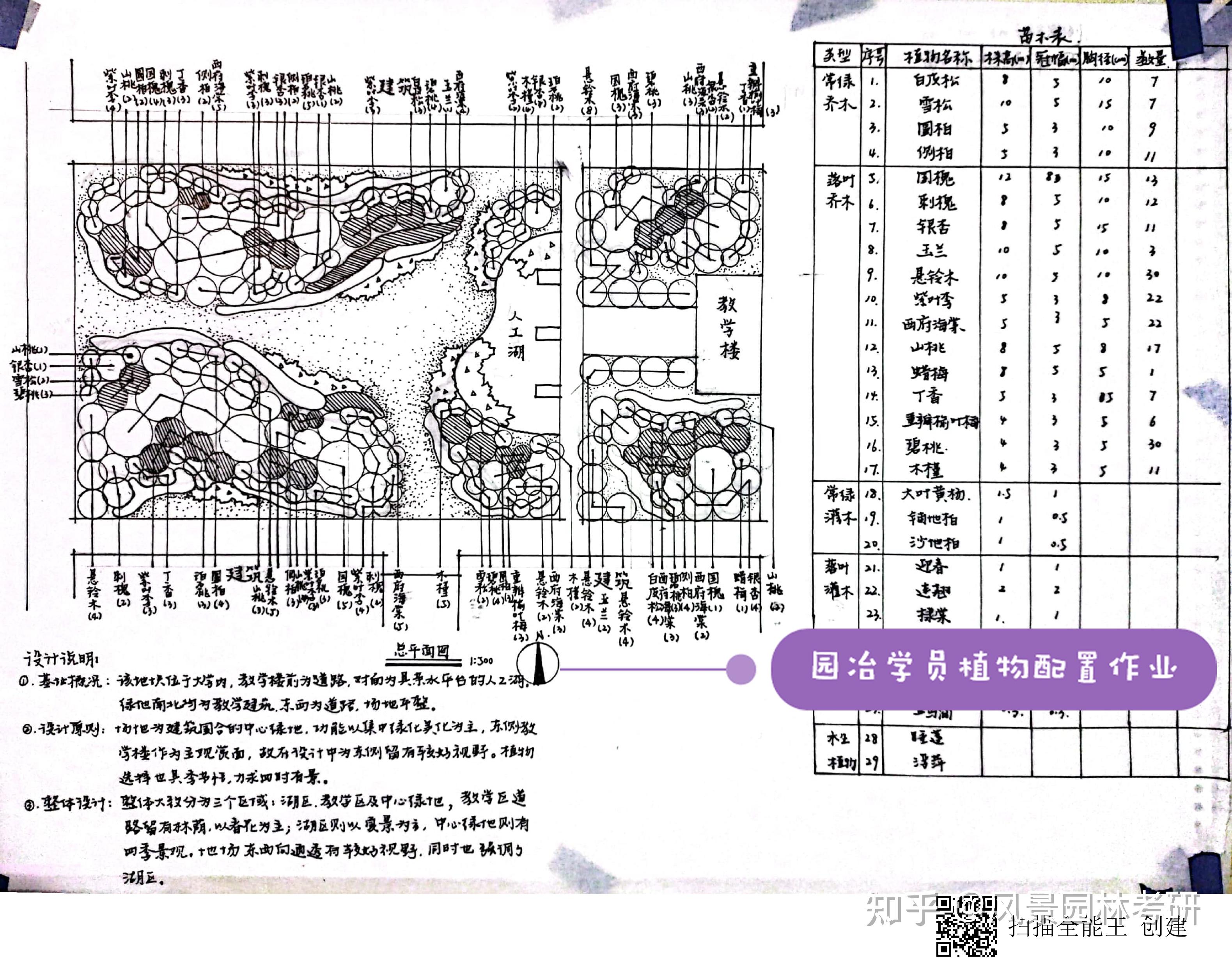 园林植物配置表手绘图图片