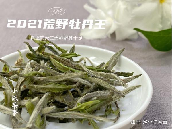 帮茶友鉴白茶,李麻花一看到图片就笑了,这也能叫牡丹王?